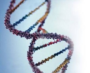 dna (1)