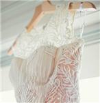 Tadashi-Shoji-illusion-neckline-gown