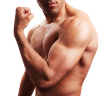 perfect-muscle-building-day-newsletter