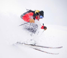 peak-performance-newsletter