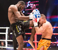 glory-10-newsletter