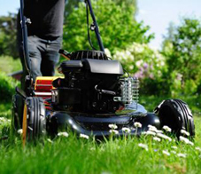 yardwork-workout-newsletter