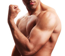 perfect-muscle-building-day-newsletter1