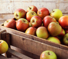 7-forgotten-fruits-newsletter
