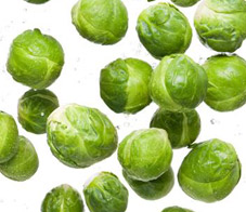 veggies-for-haters-newsletters