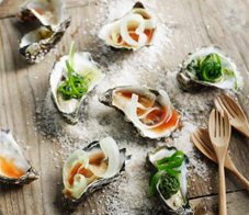 oysters-newsletter