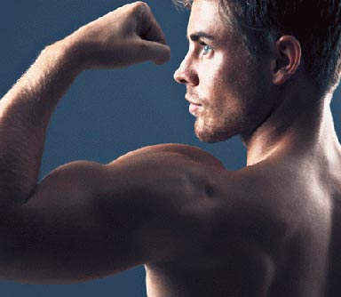 biceps-newsletter