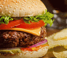junkfoodgains-newsletter