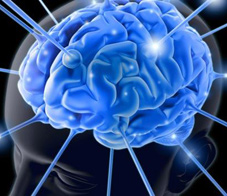 brain-newsletter
