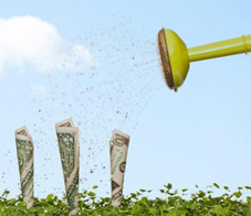 money-growth-newsletter
