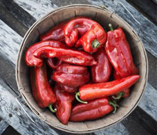 better-skin-diet-red-peppers-newsletter