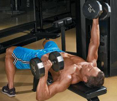 Customize-Your-Fat-Loss-newsletter