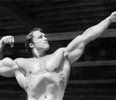 hollywood-all-time-fittest-arnold-newsletter