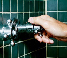 hot_shower-newsletter