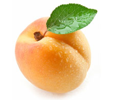 50-foods-apricot-newsletter
