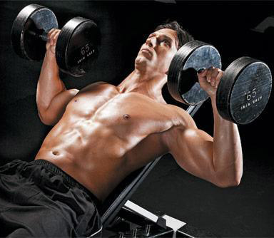 rotator-image-10-pound-muscle-gain-newsletter
