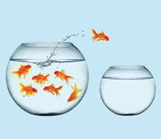 start-your-own-business-follow-your-heart-newsletter