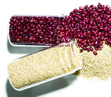 food_pairings-main-newsletter