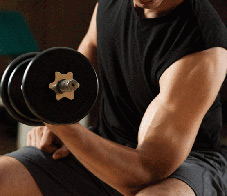 ectomorph-newsletter