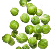 veggies-for-haters-main_0-nl