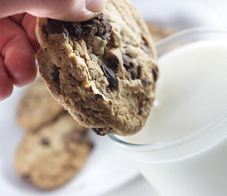 food-cravings-newsletter