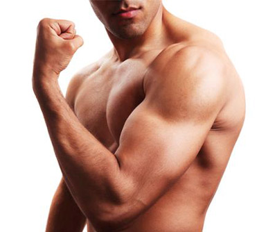 perfect-muscle-building-day-newsletter