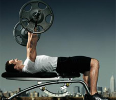 the-perfect-bench-press-newsletter