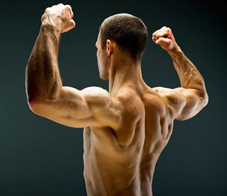 blast-your-traps-newsletter