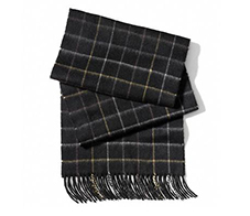 coach-scarf-NL