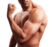 perfect-muscle-building-day-main