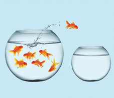 start-your-own-business-follow-your-heart-nl