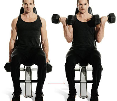 arms-like-wahlberg-seated-dumbbell-curl-nl