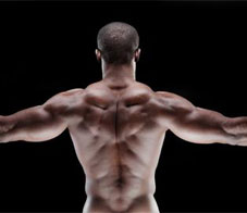 sculpt-a-v-tapered-back-newsletter