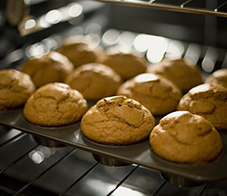protein-muffins-NL