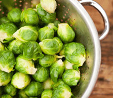brusselsprouts_main-nl