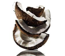 saturated-fats-coconuts-newsletter