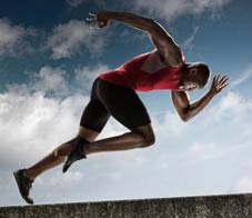 Need-for-Speed-Newsletter