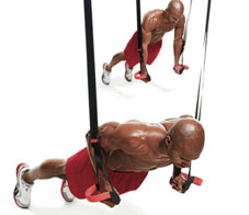 15-best-exercises-main-NL
