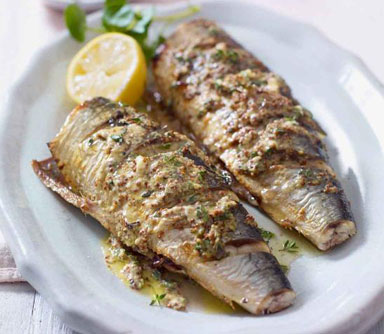 bulk-up-without-the-belly-newsletter