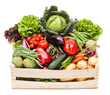 vegetable-study-newsletter