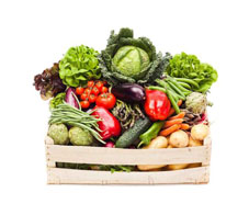 vegetable-study-main-NL