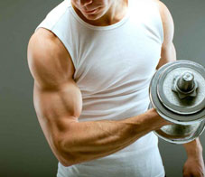 daily-session-build-biceps-fast-main-NL