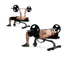 increase-your-bench-max-main-NL