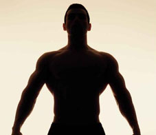 supps-in-flux-main-NL