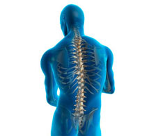 save-your-spine-main-NL