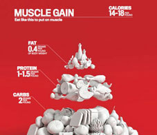 mf-food-pyramid-2_0-NL