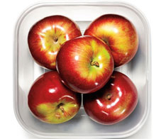 keeping-food-inplastic-main-NL