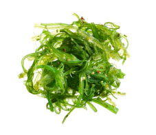 alternative-proteins-main_0-NL