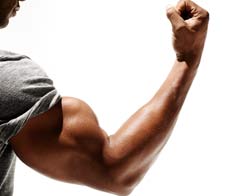 Big-Bicep