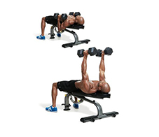 triceps-NL